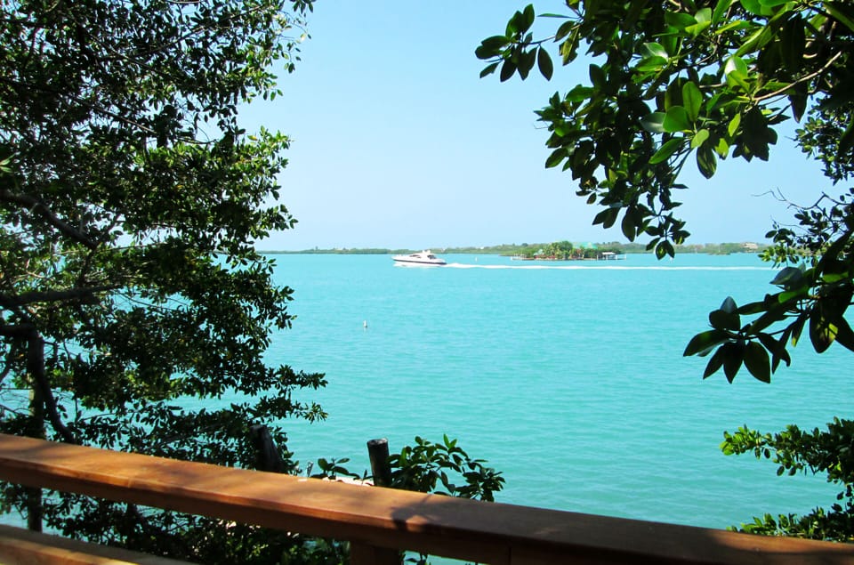 View of the bay from the wooden terrace.