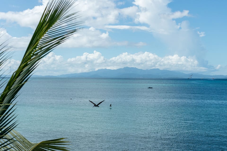 View from Villa Chavaniac of the main island of Puerto Rico