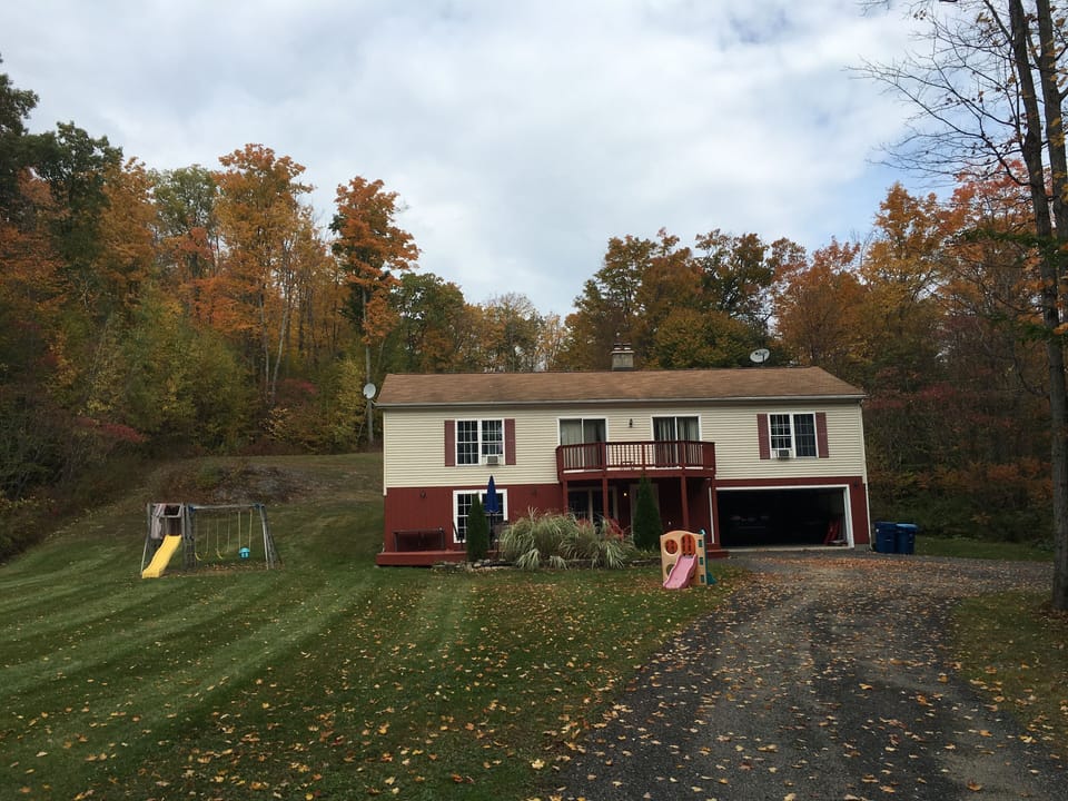 View from the long driveway of the property
