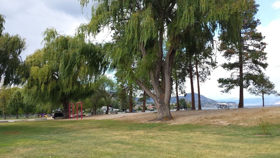 Park at Powell Beach
