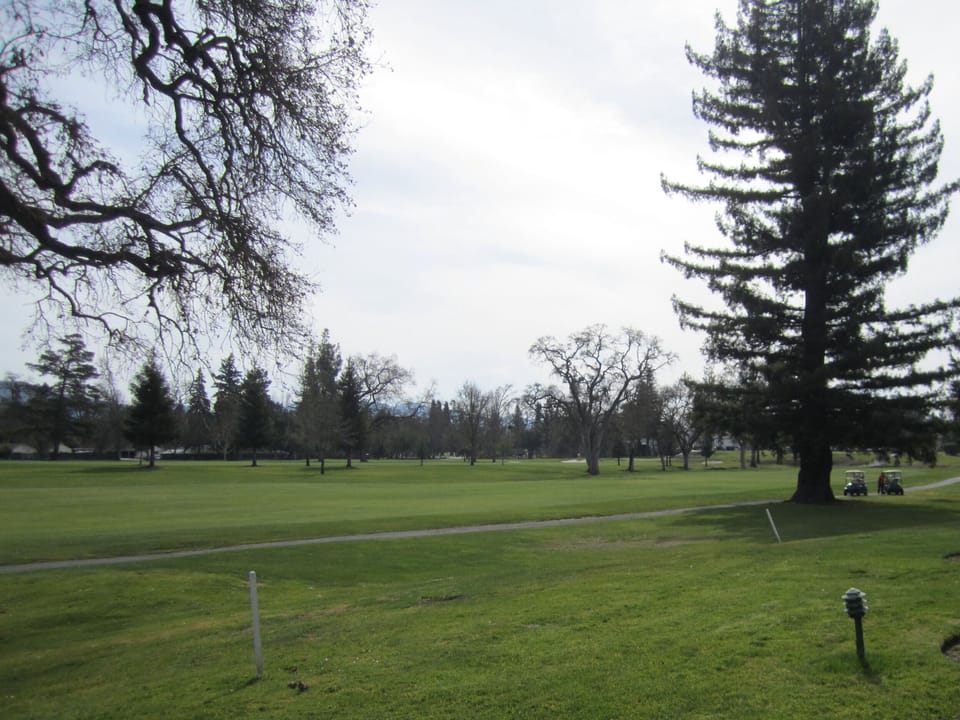 View of the #1 fairway from back patio
