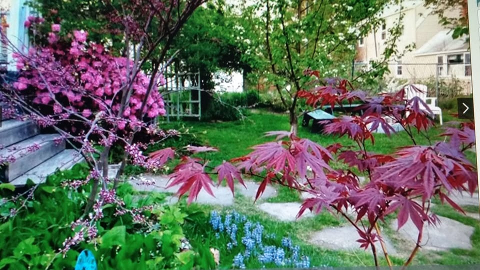 back yard gardens