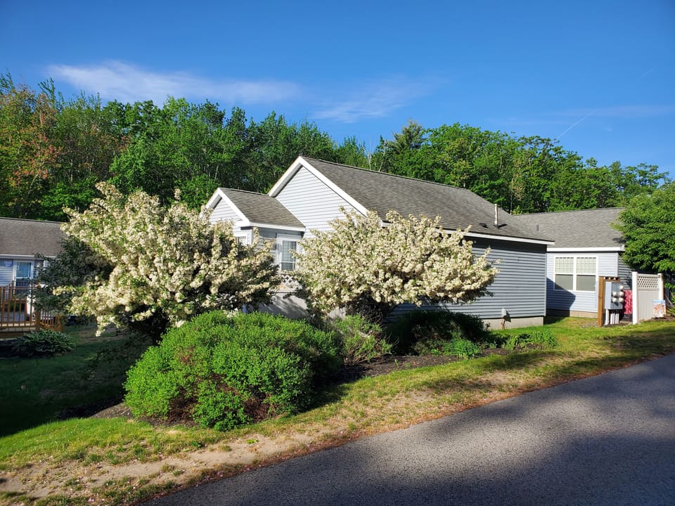 Full rear view of cottage