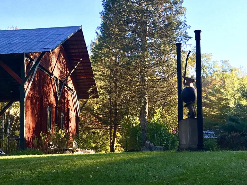 Morning light in the garden