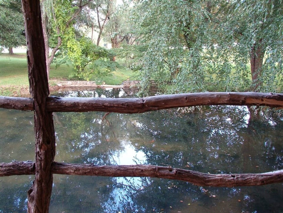 View of small pond from lower level deck