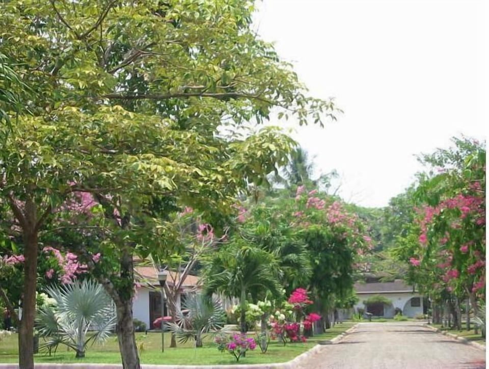 The Property