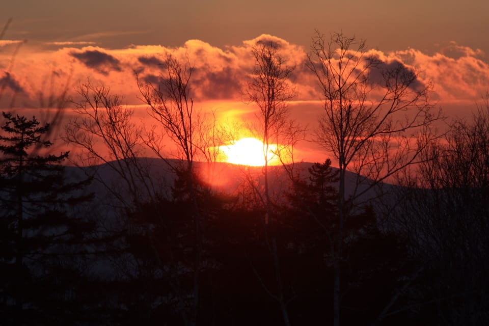 Another backyard sunset!