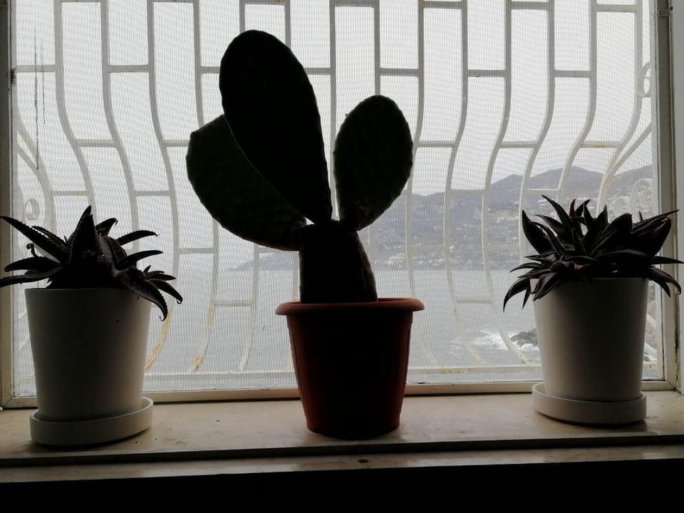 Interior detail