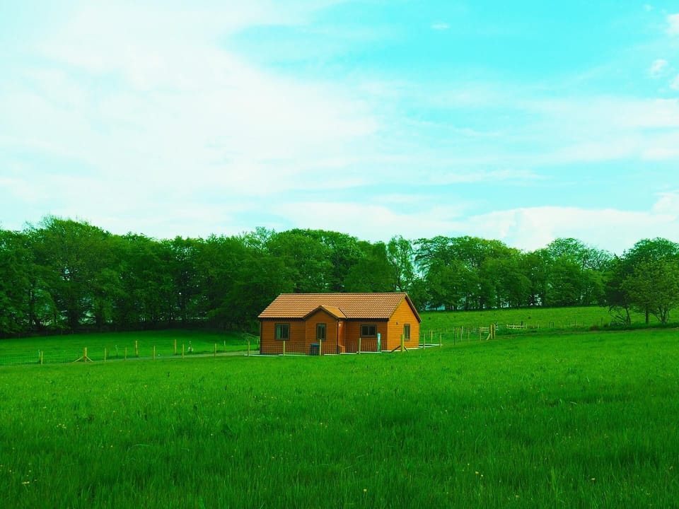 Looking south from the Hay Field