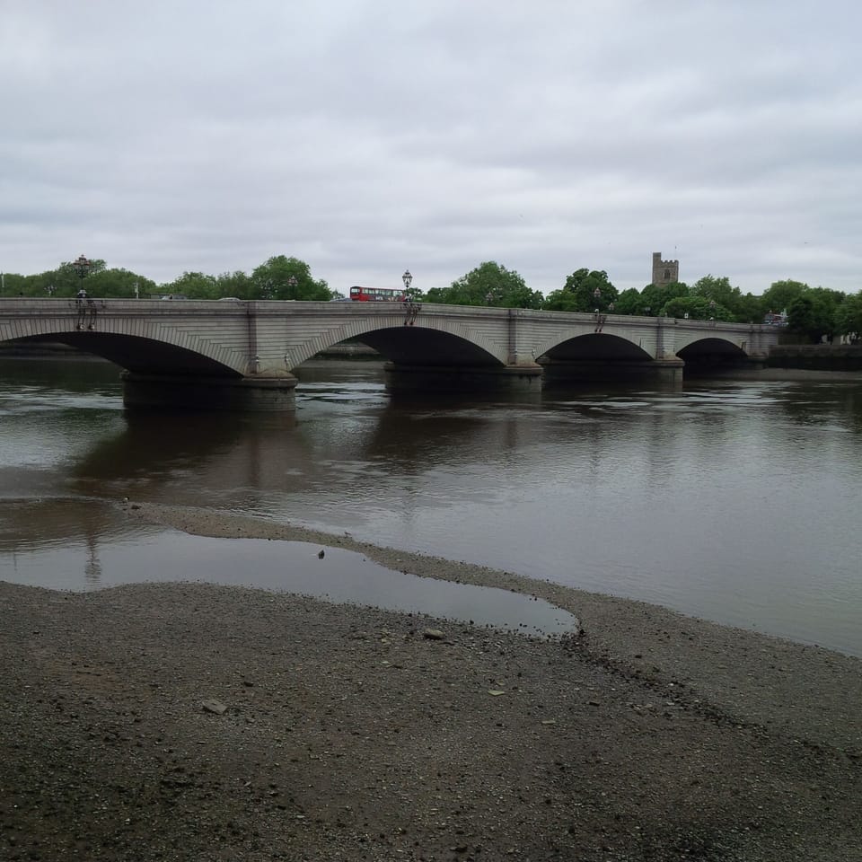 PUTNEY BRIDGE -view from garden