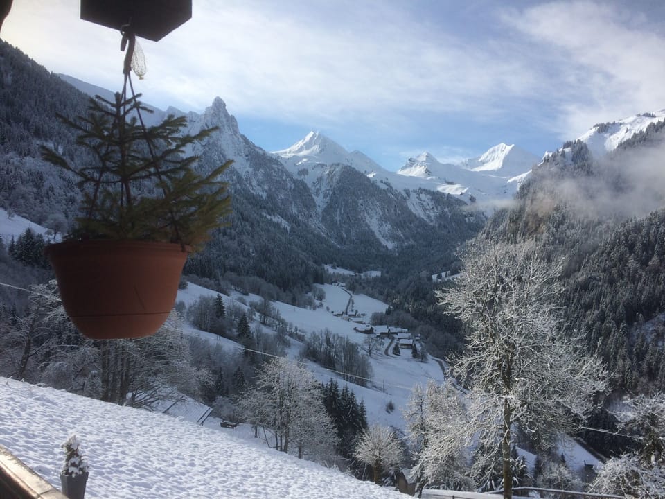 View from property