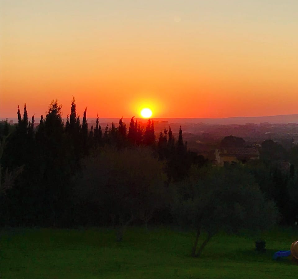 amazing sunset
