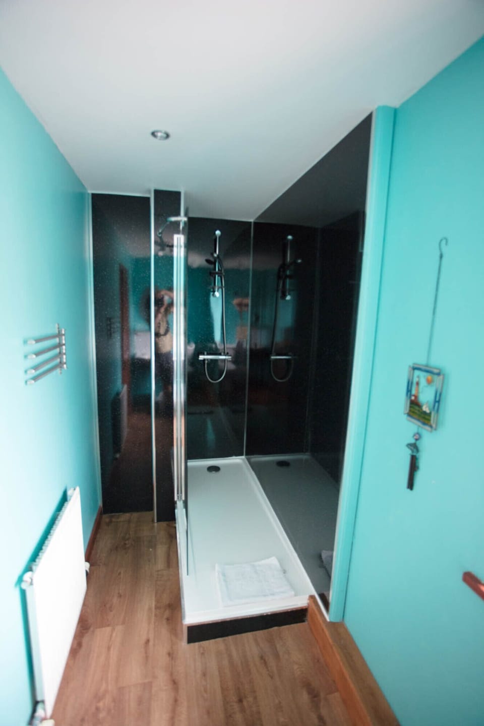 Ground floor ensuite with toilet and walk in shower