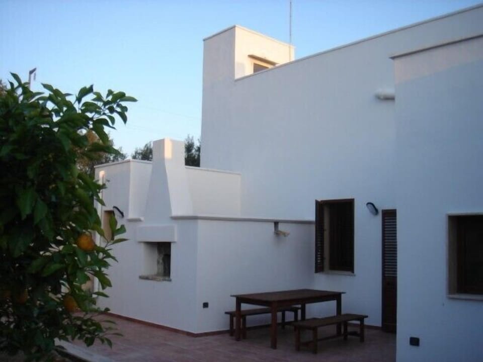 walled garden with citrus trees