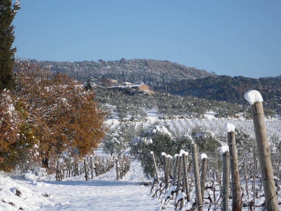 in winter snow