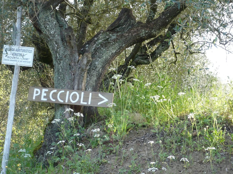 Road sign