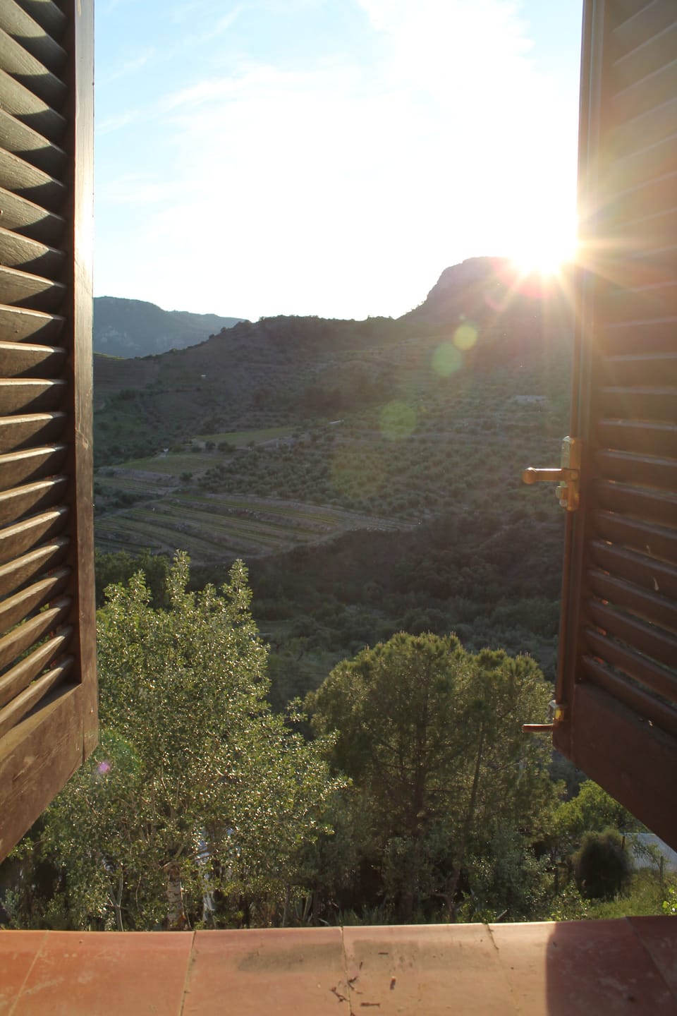 View from property