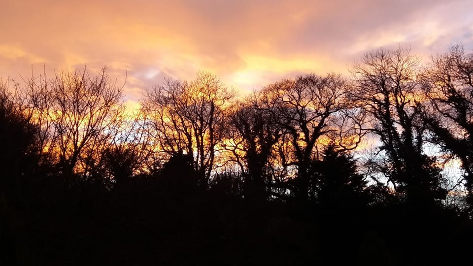 Winter skies