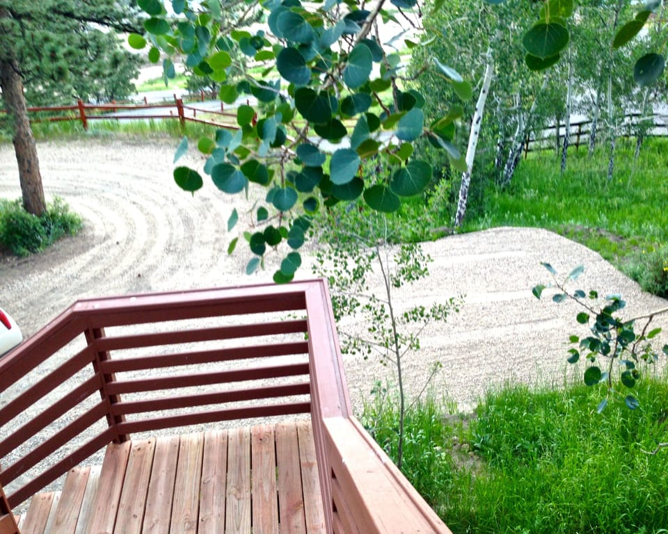 Aspen trees surround the property 