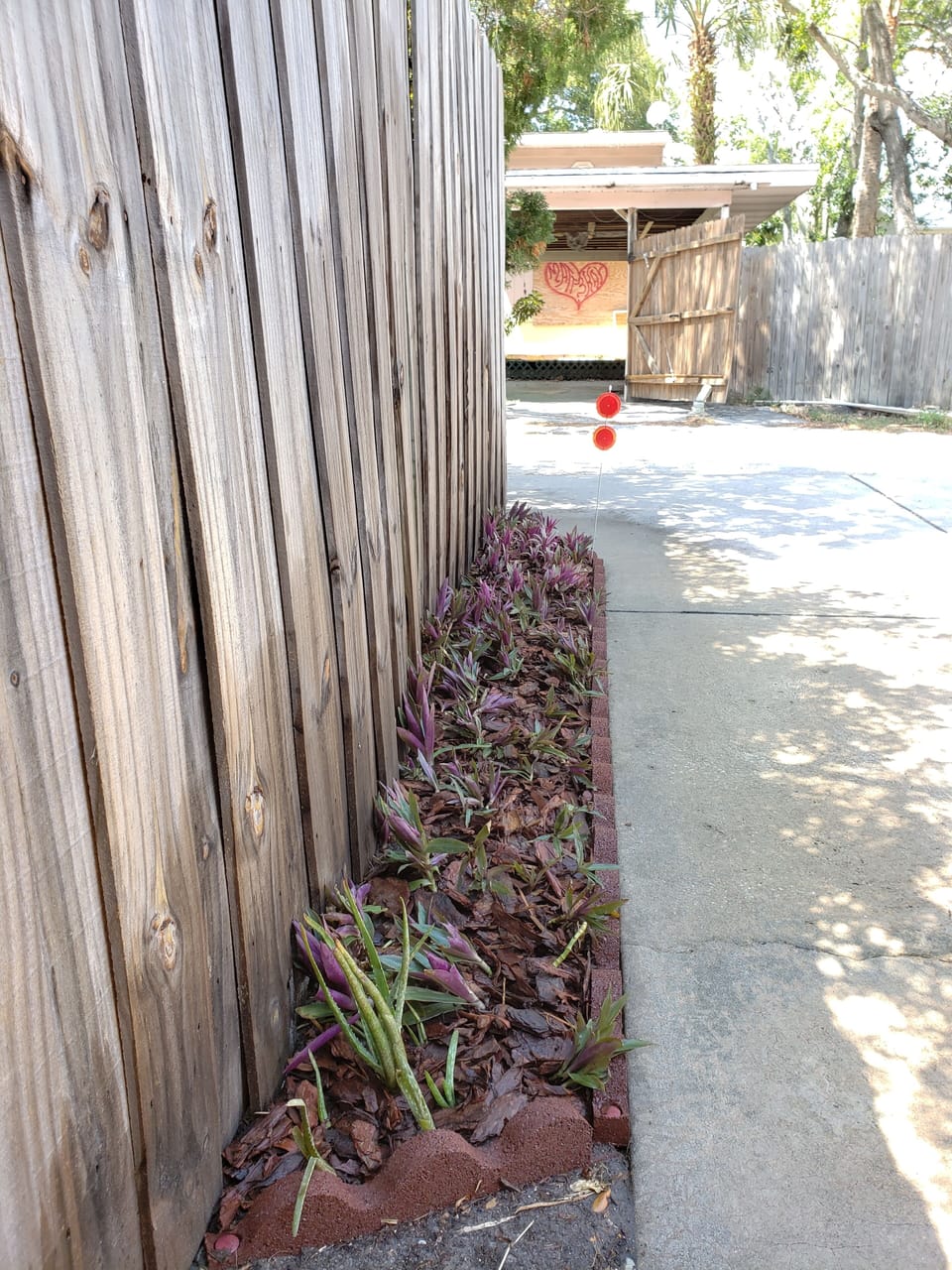 Driveway