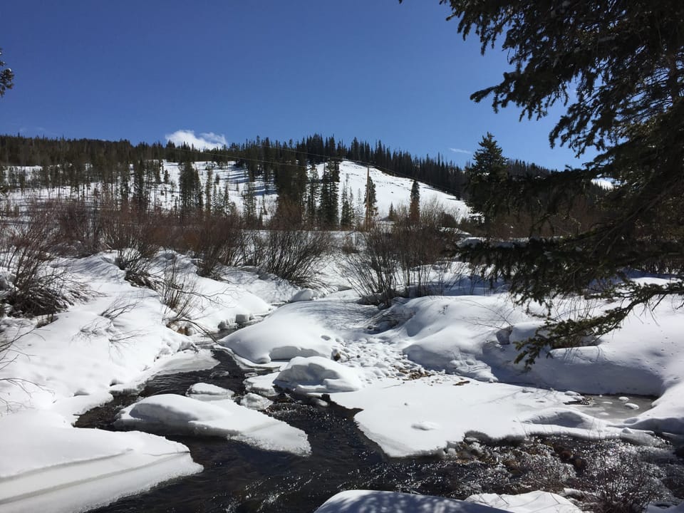 Fraser River - a short walk from the condo 