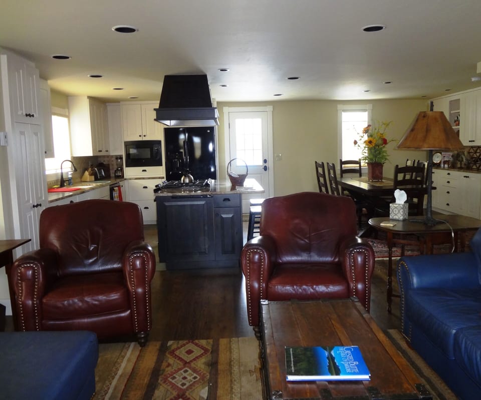 Living Room, Kitchen and Dining Great Room 
