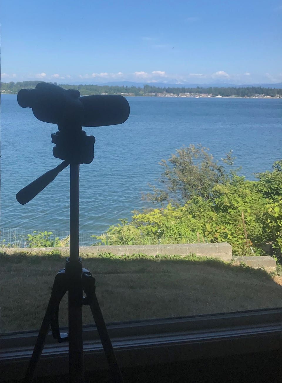 Take in the view, watch the ferry pass,  or the wildlife in the water.