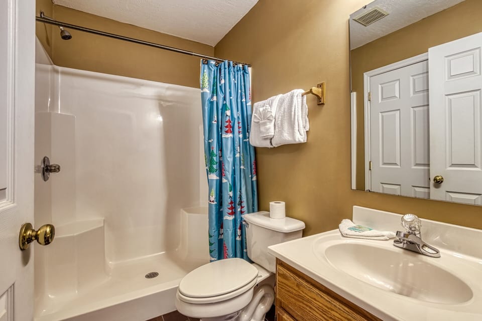 Vacation Rental with a Hot Tub in the Smokies "Pigeon River Retreat" - Bathroom with walk in shower