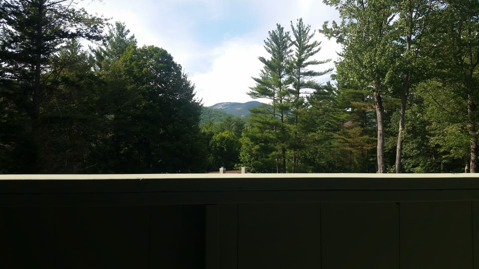 View from the deck
