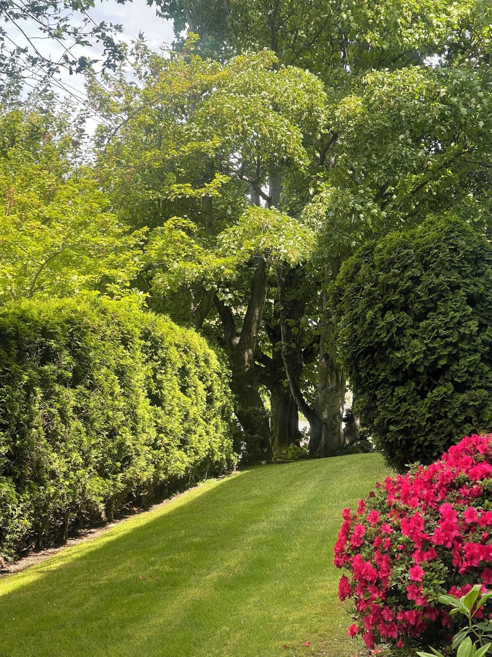 View of garden from private patio