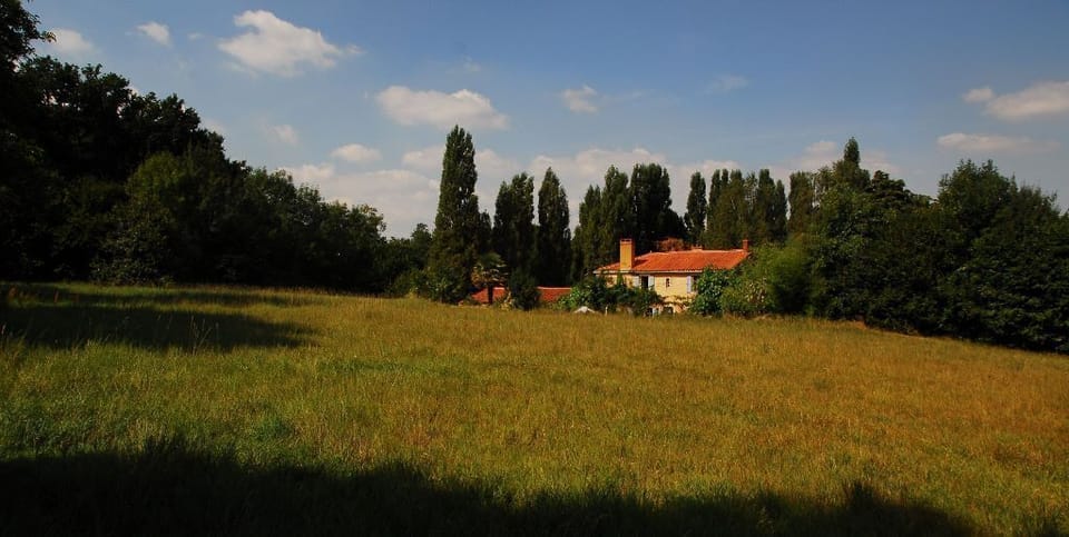 The house from the top field - a great place run around or just lie in the grass
