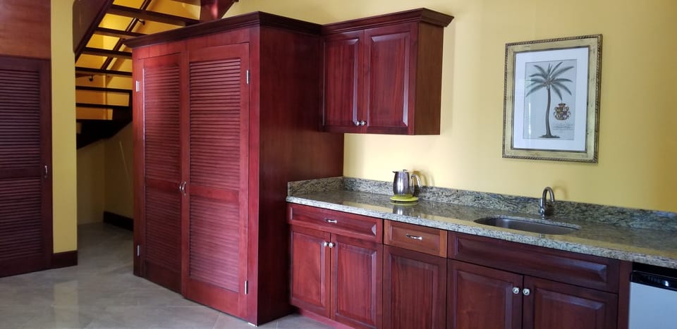 Lower level kitchenette