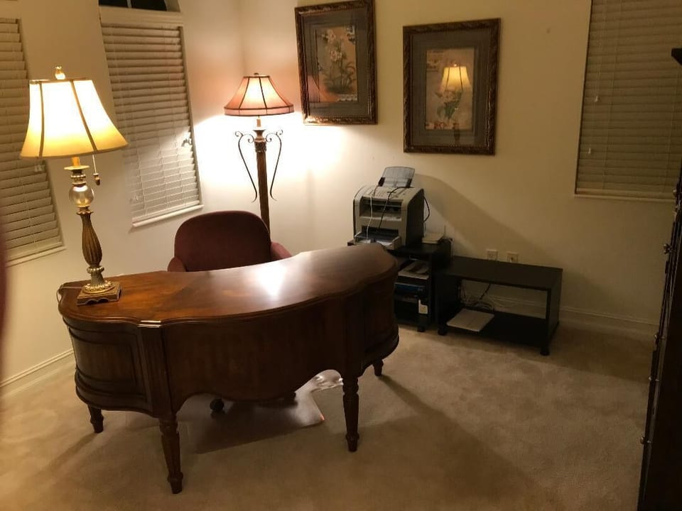 Den with lazor printer