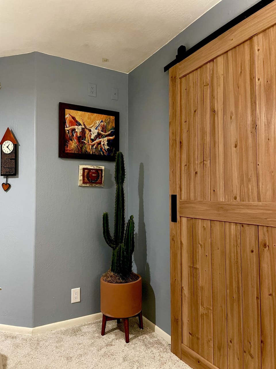 Master-Bedroom barn door with access to outside