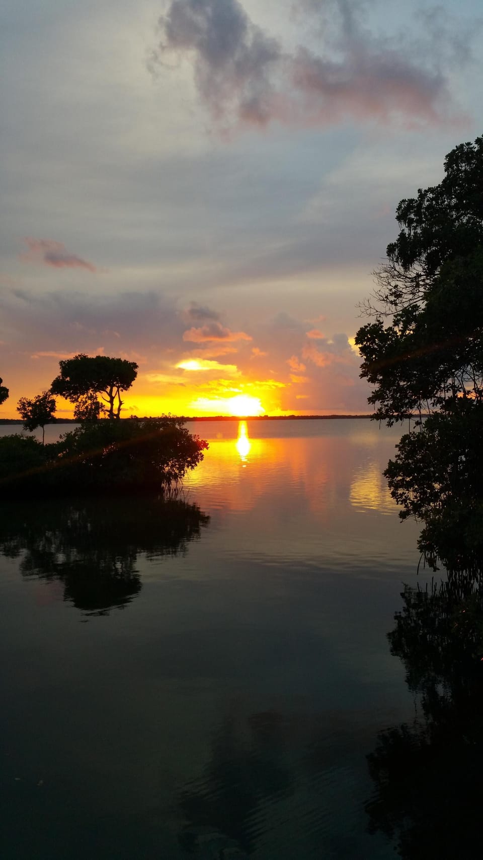 Sunset from north wall of Nettles Island