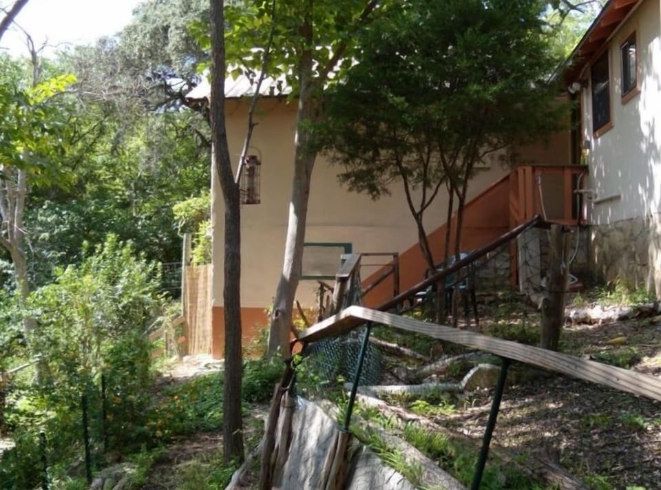 Back yard 