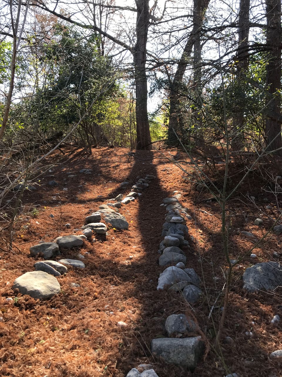 Path through river bottom to river front 