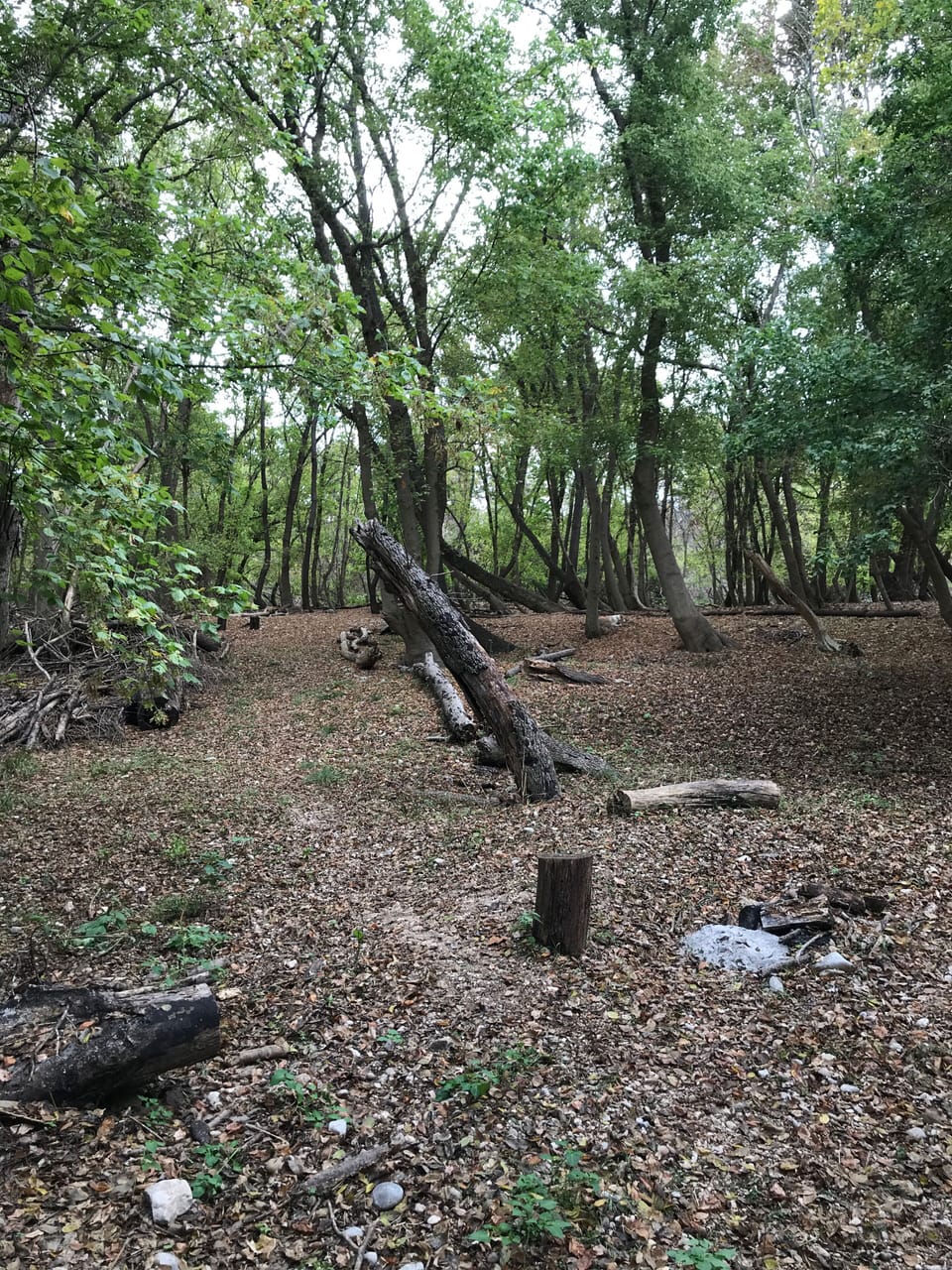 Lower fire pit area, beginning of path to river 