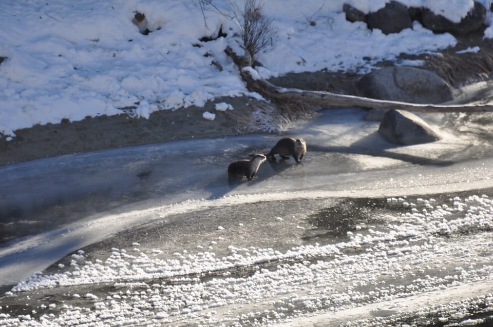 Some winter fun with the Otters on the Wenatchee River in front of your suite.