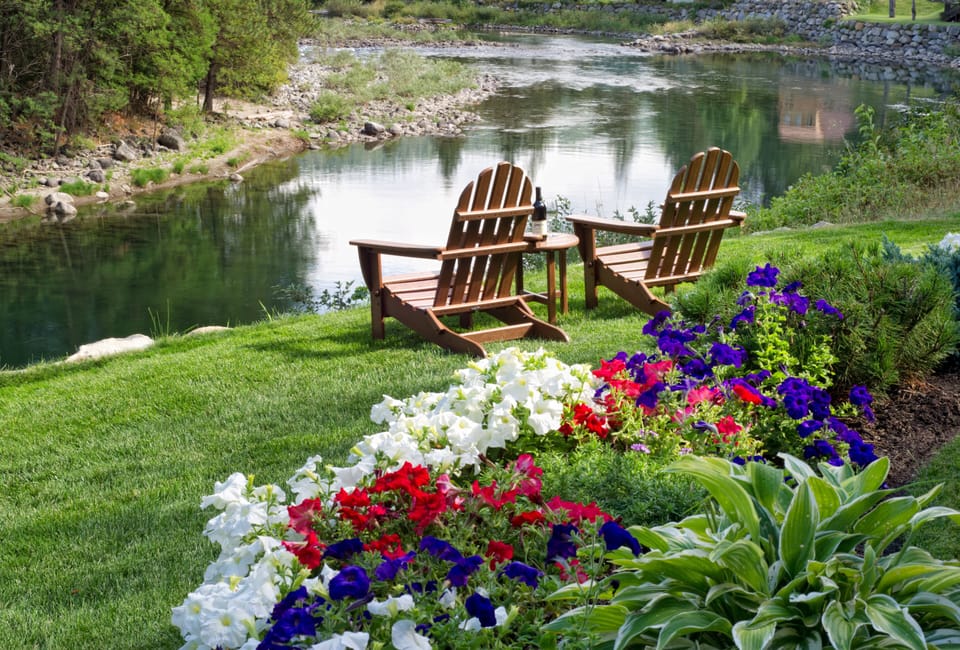 Lots of summer flowers