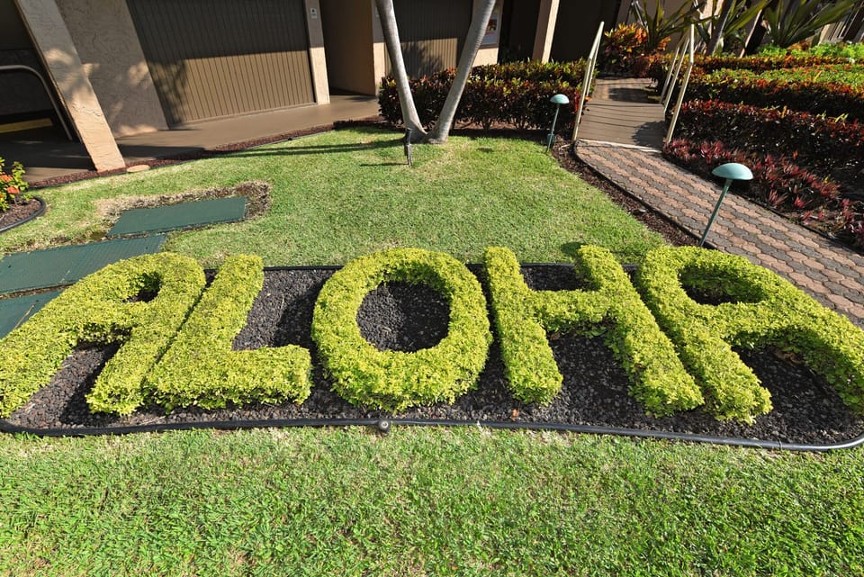 Come immerse yourself in the Aloha spirit - Welcome.