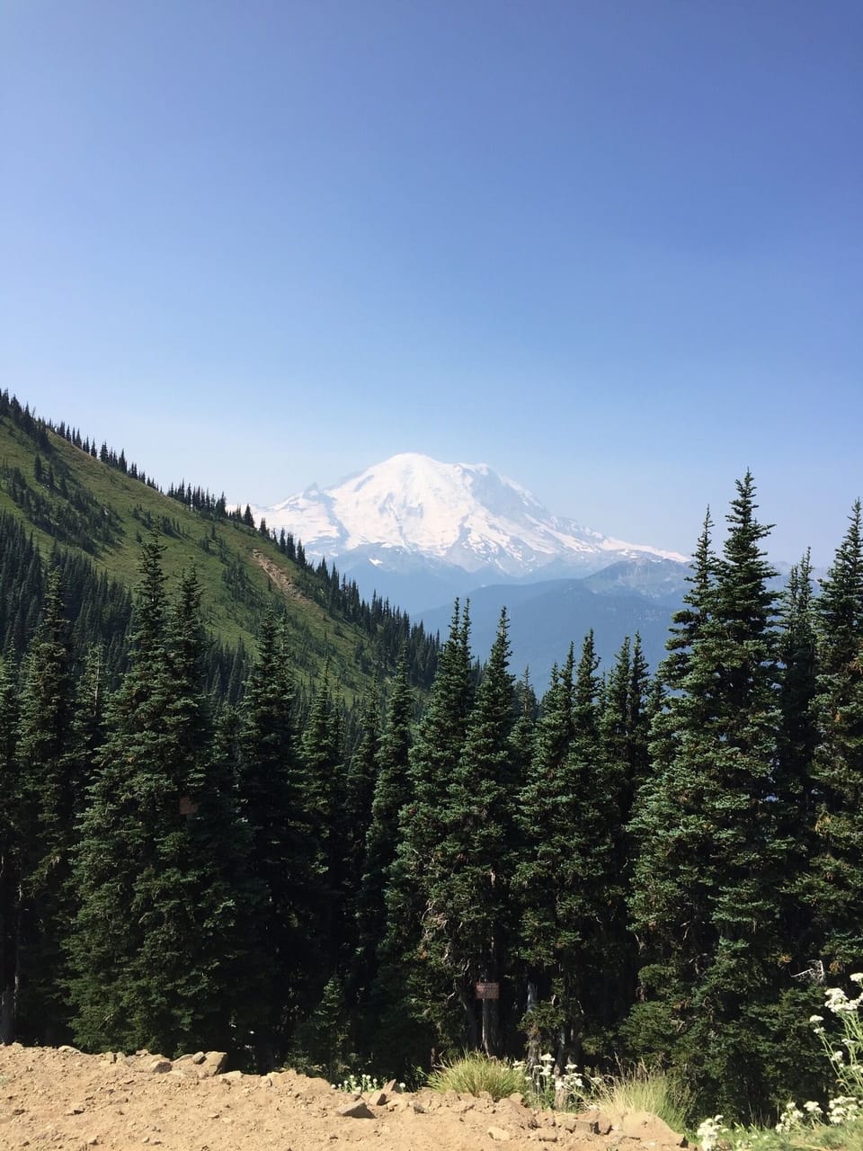 Mt. Rainier view from nearby hike