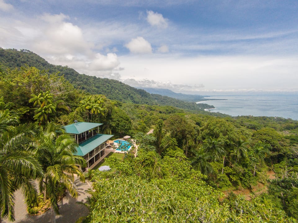 Casa Alta Vista Sits On The Side Of The Mountain Surrounds by Tropical  Gardens