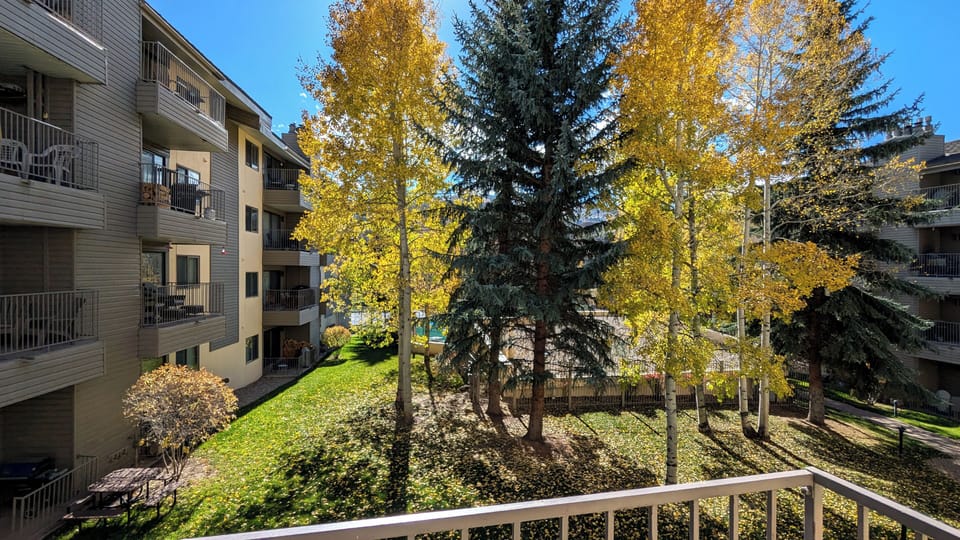 View from balcony