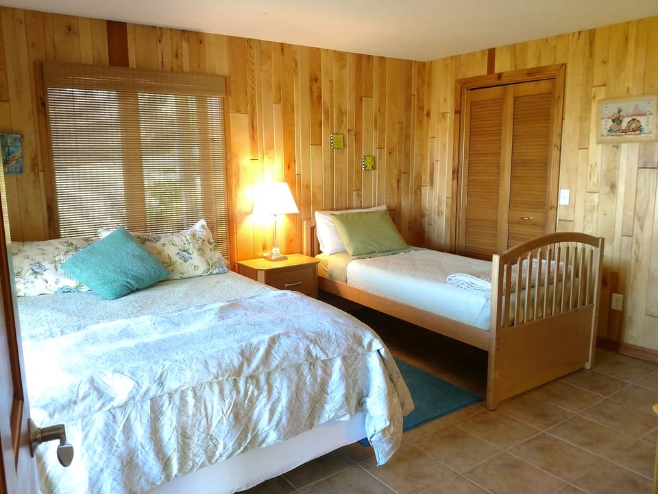 Lower level bedroom #3 - Queen bed and twin bed