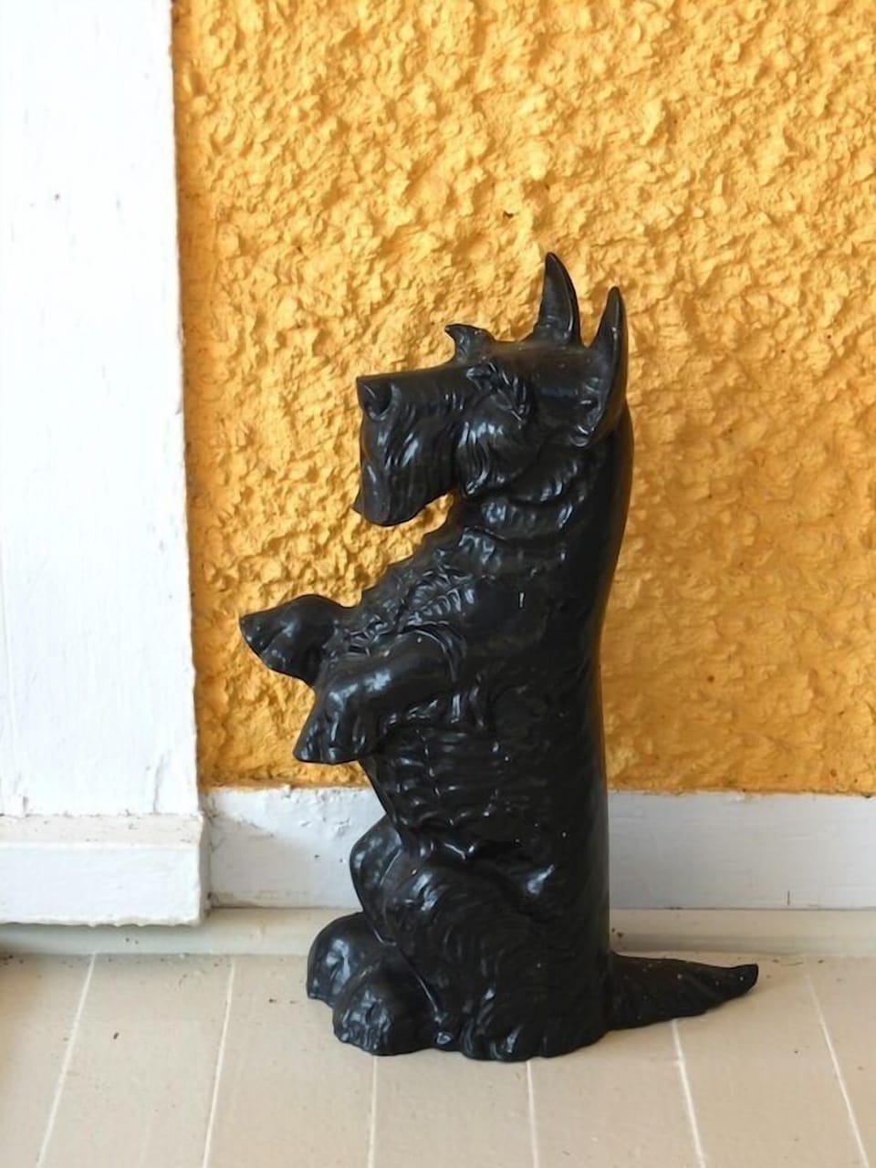 Scotty guarding the front  door!