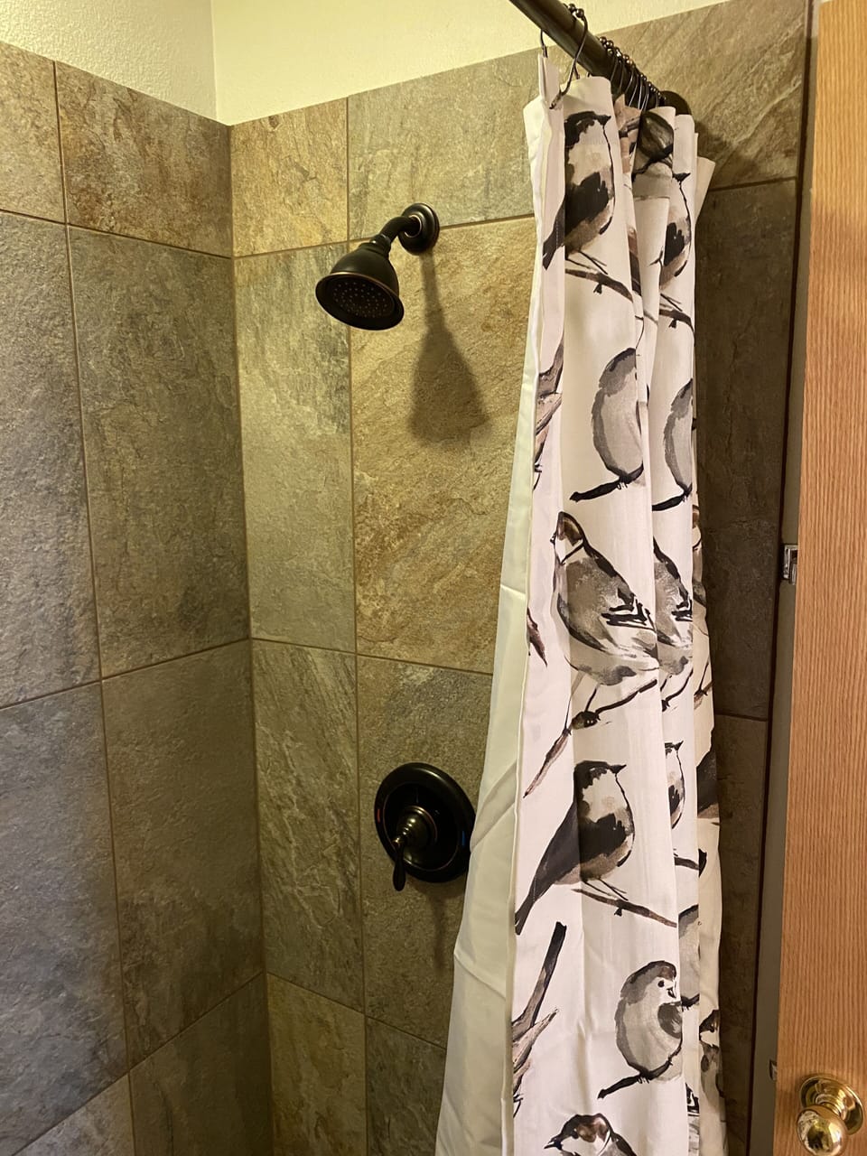 Upstairs shower