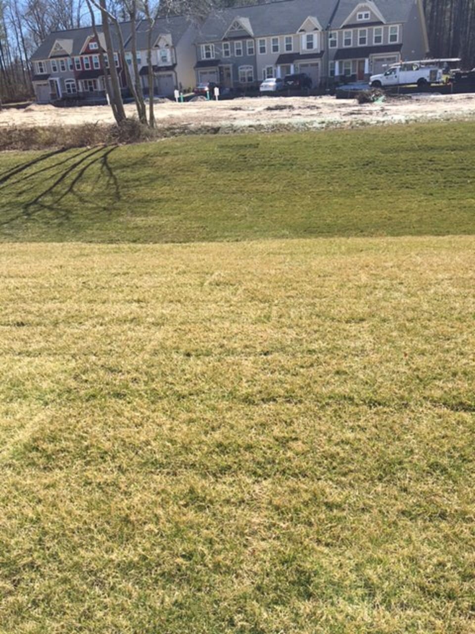 Large open back yard