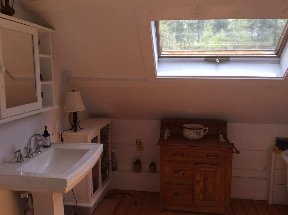Second floor bathroom with stand alone shower and ball and claw bathtub 