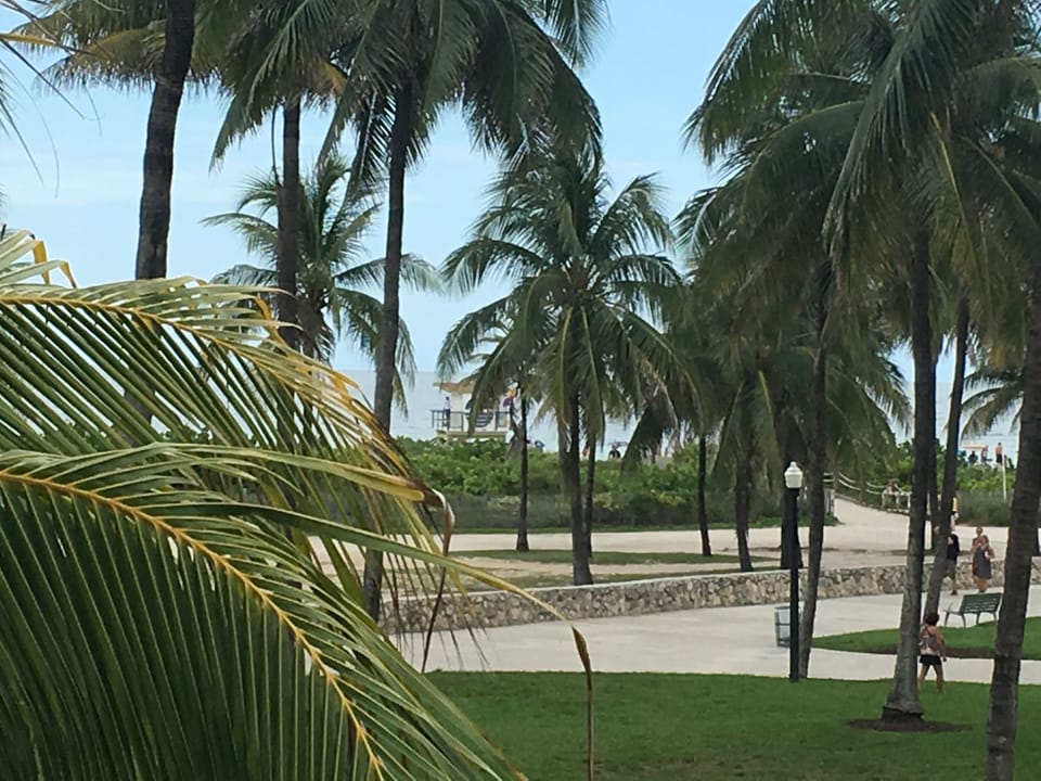 View from the Living room